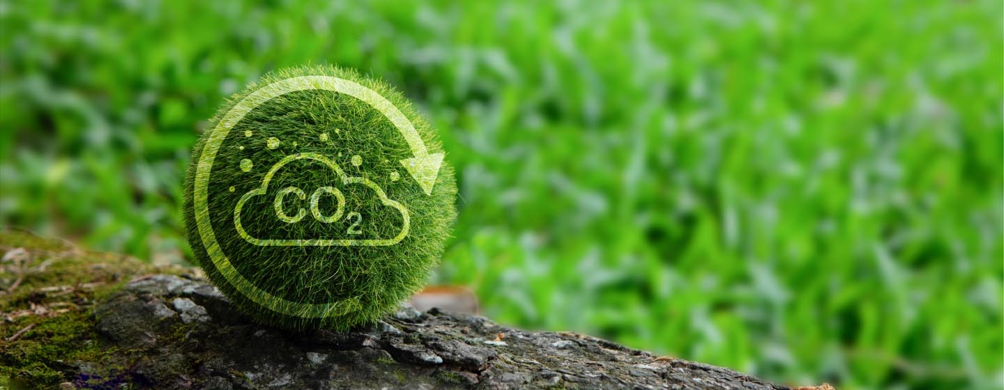 e& sustainability strategy for achieving net zero operations