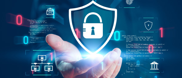 data protection as a service interface