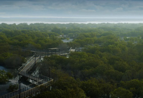 AI-powered environmental monitoring